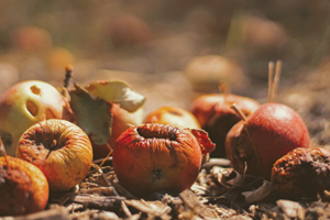 Composting