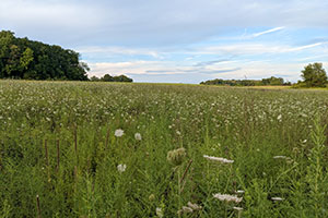 Preserve Photo 1