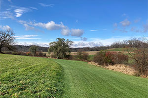 Preserve Photo 3