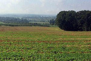 Preserve Photo 4